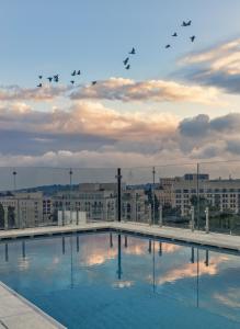 una bandada de aves volando sobre una piscina en Brown JLM Mamilla, a member of Brown Hotels, en Jerusalén