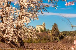 Κήπος έξω από το Gîte sous les chênes : pour un séjour ressourçant