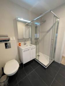 a bathroom with a shower and a toilet and a sink at Paris Nordmann superbe appartement 2 pièces in Paris