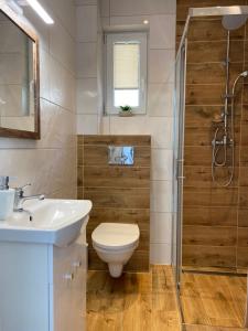 een badkamer met een toilet, een wastafel en een douche bij Domki Weekend in Łeba