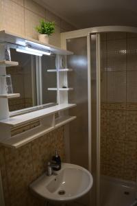 un bagno con lavandino, specchio e doccia di Rooms Lucijana a Jezerce Altre 44 foto
