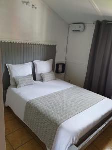 sypialnia z dużym łóżkiem z 2 poduszkami w obiekcie Chambres et Table d'hôte Les Hortensias w mieście La Plaine des Cafres