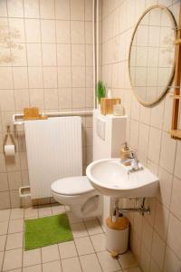a bathroom with a toilet and a sink and a mirror at Gutshof zum Wurzgarten in Hainbach