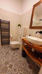 La salle de bains est pourvue d'un lavabo, de toilettes et d'un miroir. dans l'établissement Apartma Bovec Center, à Bovec