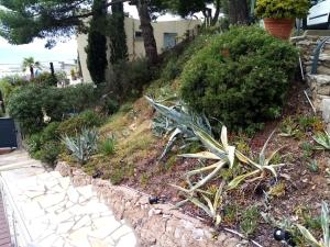 un jardin avec des plantes sur le côté d'une maison dans l'établissement villa rahuette, à Sète