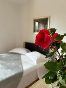 eine rote Rose in einer Vase neben einem Bett in der Unterkunft Guesthouse Klečak in Cavtat