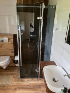 a bathroom with a shower and a sink and a toilet at Noclegi Dąbek in Rymanów