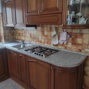 a kitchen counter with a stove and a sink at Casa San Valentino Dolomiti Val di Zoldo in Val di Zoldo