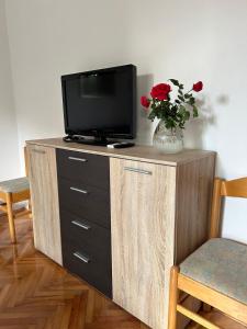 einen TV auf einem Holzschrank mit einer Blumenvase in der Unterkunft Guesthouse Klečak in Cavtat