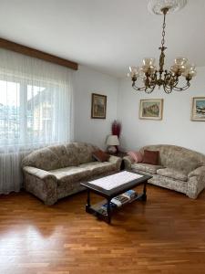 Sala de estar con 2 sofás y mesa en Appartamento Frieda, en Calceranica al Lago