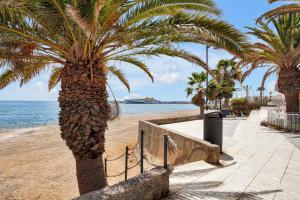 a palm tree on a beach next to the ocean at STUNNING HOLIDAYS, Large Terrace On The Sea in El Guincho