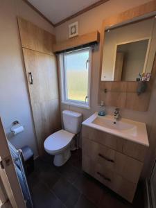 a small bathroom with a toilet and a sink at 3 bed luxury lodge at Hoburne Devon Bay in Goodrington