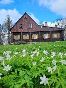 a barn with a field of flowers in front of it at Chalupa Lichtenberg/ Světlík in Horní Podluží