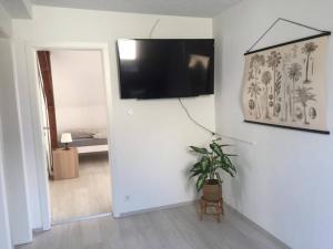 a living room with a tv on a wall with a plant at 22C große Wohnung 4 Schlafzimmer Wlan/SmartTV in Korb