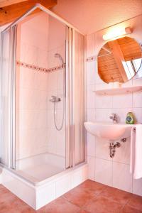 een badkamer met een douche en een wastafel bij Aparthotel Sonnenburg in Schluchsee
