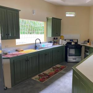 a kitchen with green cabinets and a sink at Easy Breezy in Blanchisseuse