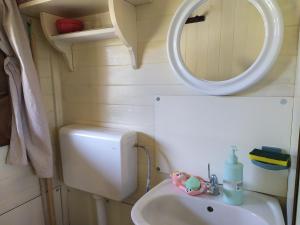 een kleine badkamer met een wastafel en een spiegel bij LA VOLPE DI AGROPOLI in Agropoli
