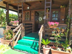a tiny house with stairs and potted plants at LA VOLPE DI AGROPOLI in Agropoli