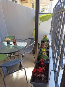 a row of plants on a balcony with a table at Ventus in Afionas
