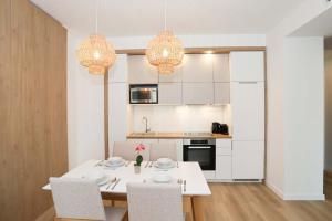 Kuchyňa alebo kuchynka v ubytovaní Platán Beach Apartman with lakeview