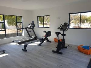 a gym with several treadmills and exercise bikes at Sophiscated Upmarket One Bedroom Apartment in Johannesburg