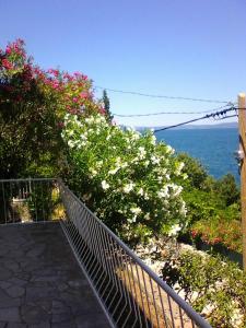 a walkway with flowers and the ocean in the background at Villa Teodora in Donja Vrućica
