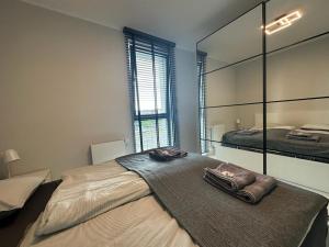 a bedroom with a large bed with a large mirror at Apartament Centrum II in Bydgoszcz