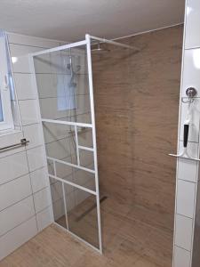 a walk in shower with a glass door at SUN RIVER KOLPA Ap2 in Vinica