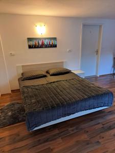 Billede fra billedgalleriet på SUN RIVER KOLPA Ap2 i Vinica