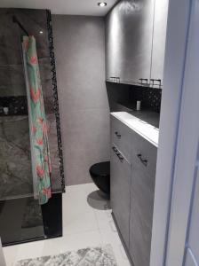 W łazience znajduje się toaleta, umywalka i prysznic. w obiekcie Apartament Frombork we Fromborku