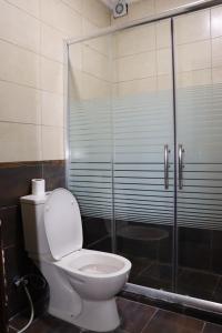 La salle de bains est pourvue de toilettes et d'une douche en verre. dans l'établissement Al Jamal Suites, à Amman