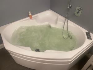 een badkamer met een bad gevuld met groen water bij Loft incantevole in Vinci