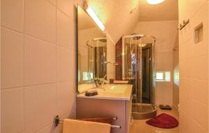 une salle de bain avec un lavabo, une douche et un miroir dans l'établissement Cozy Home In Terrasson-Lavilledieu With Wifi, à Bouillac