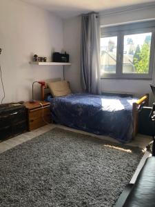 1 dormitorio con cama y ventana en Maison de ville avec garage, en Le Mans