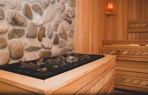 Imagem da galeria de Hotel Alexandar Lux em Podgorica