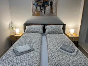 1 dormitorio con 2 camas con almohadas y una pintura en Apartman Time out 1, en Sombor