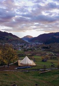 een tent in een veld met bergen op de achtergrond bij Rucăr Glamping Village in Rucăr