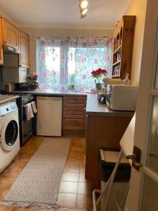 una cucina con lavandino e lavatrice di One Double bedroom in a Shared apartment a Londra