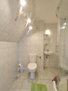 y baño con aseo, ducha y lavamanos. en Willa Mozaika, en Zakopane