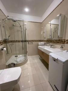 Kúpeľňa v ubytovaní Apartma Premium