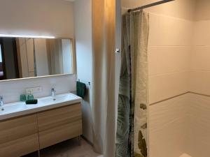 a bathroom with a sink and a shower at Latitude Savoie in Drumettaz-Clarafond