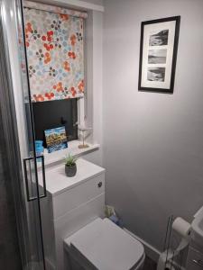 a bathroom with a toilet and a window with a curtain at Applegrove, perfect 2 bed bungalow, Fortrose in Fortrose