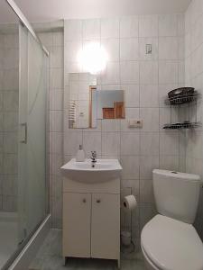 ザコパネにあるWilla Mozaikaのバスルーム(トイレ、洗面台、シャワー付)