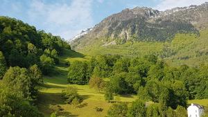 une vallée verdoyante avec une maison et des montagnes en arrière-plan dans l'établissement Bel Apt 4 pers dernier étage balcon vue montagne, à Luz-Saint-Sauveur