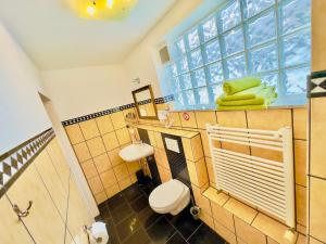 uma casa de banho com um WC e uma janela em Europa Pension zum Grünen Baum em Rust