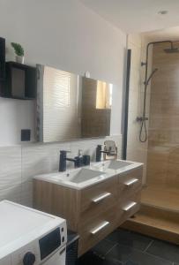 a bathroom with a sink and a shower at Charme et confort in Mulhouse +19 photos