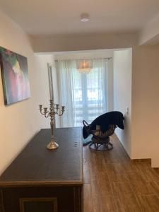 Domáce zviera alebo zvieratá hostí v ubytovaní Haus Ogertschnig Feichterwirth