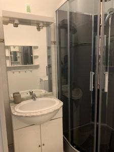 bagno con lavandino e doccia in vetro di Appartement meublé proche du centre - Wifi/Parking a Clermont-Ferrand