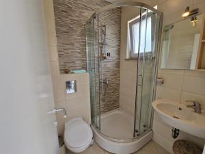 ein Bad mit einer Dusche, einem WC und einem Waschbecken in der Unterkunft Vitis Apartments in Zaton