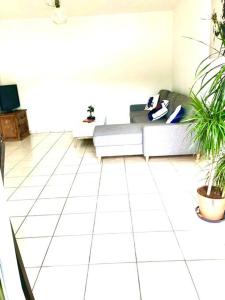 een woonkamer met een bank en een aantal planten bij Confort plage piscine in Saint-Vincent-de-Tyrosse
